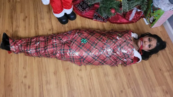 Mummified By The Possessed Santa Statue