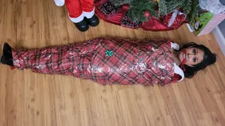 Mummified By The Possessed Santa Statue