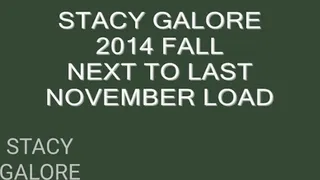 Stacy Galore 2014 Next To Last Nov Load