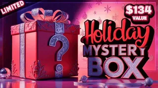 Holiday Mystery Box Four: $134 Value