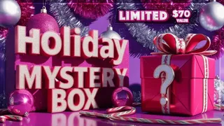 Holiday Mystery Box FIVE $70 Value