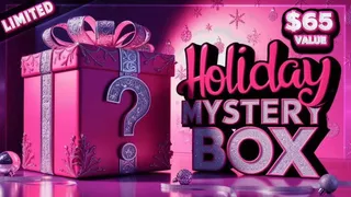 Holiday Mystery Box One $65 Value