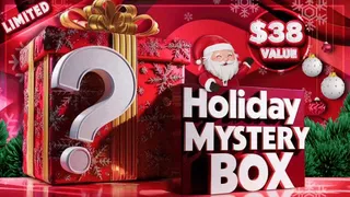 Holiday Mystery Box TWO $38 Value