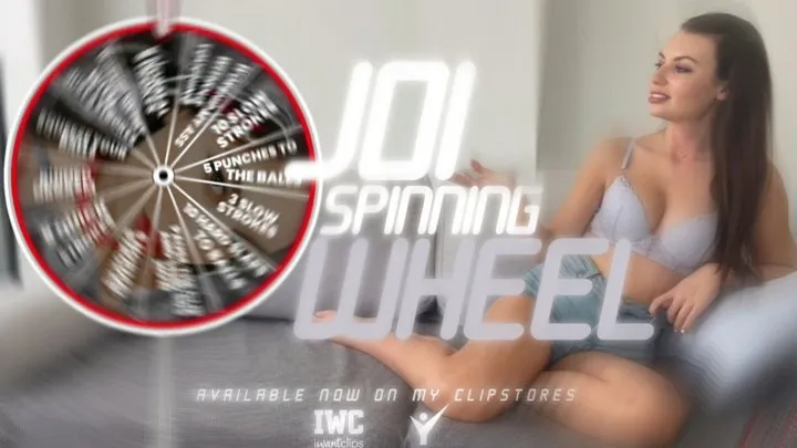 JOI Spinning Wheel