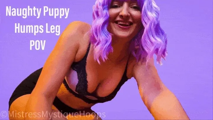 Naughty Puppy Humps Leg POV