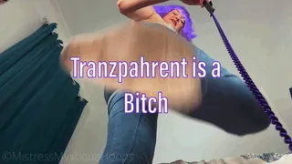 Tranzpahrent is a Bitch - Custom Stomping and Humiliation Femdom POV with Mistress Mystique
