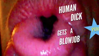 Giantess Vore Human Dick Gets A Blowjob