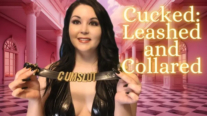 Cucked: Leashed And Collared