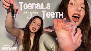 Toenails in Your Teeth