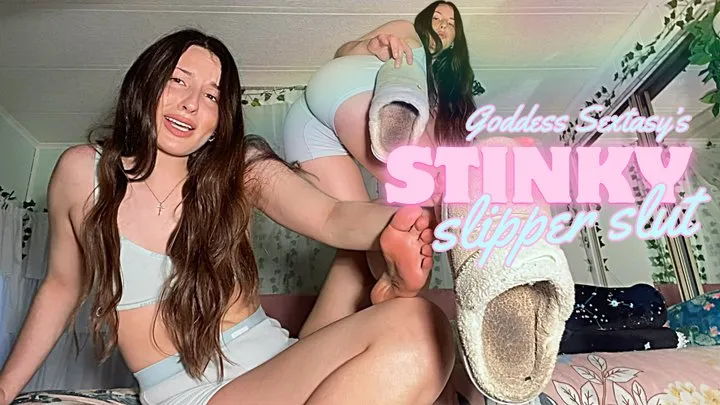 STINKY Slipper Slut