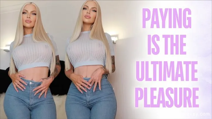 Paying is the Ultimate Pleasure 2