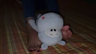 Teddy Smelling Fer´s Feet