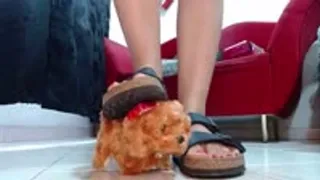 Crushing Crush a small toydog in Birkenstock and Berkemann wooden sandals barfeet