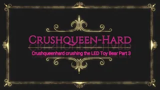 Crushing crush LED toy Bear in wooden Berkemann Sandals and nylons