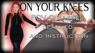 On Your Knees: POV Instructions