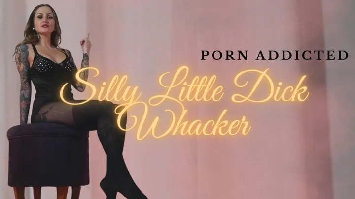Porn Addicted Silly Little Dick Whacker
