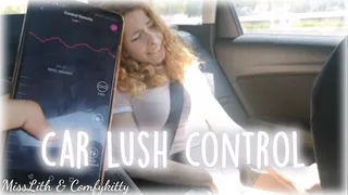 CAR LUSH CONTROL