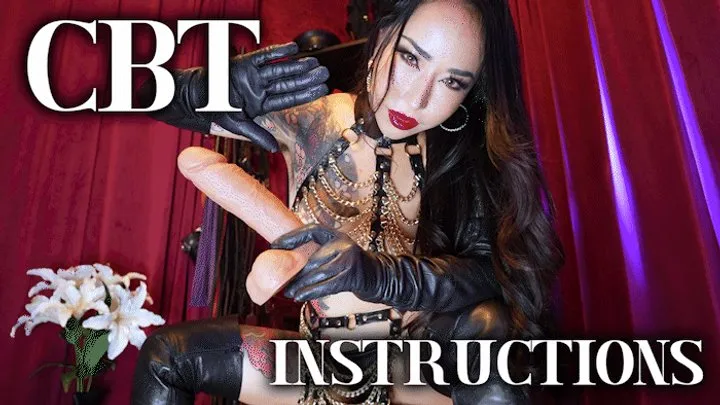 CBT Instruction JOI