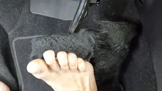 NYC FEET DRIVES BAREFOOT AND SHOWS HIS FEET ON HIS FUR PEDALS