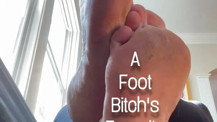 A Foot Bitch's Favorite View