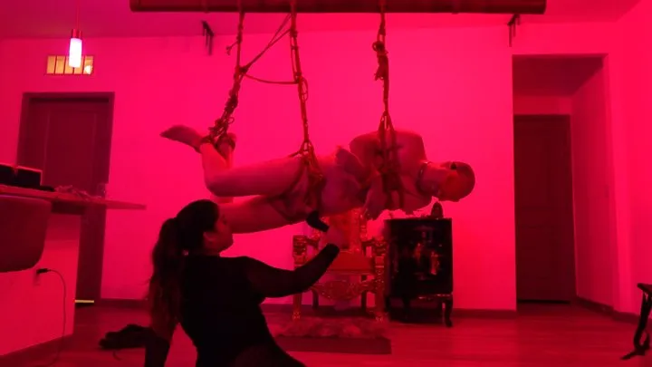 slave falls into Mistress Rogue's shibari suspension web and gets dominated