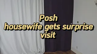 Couple wrestling - Posh housewife gets a surprise visit