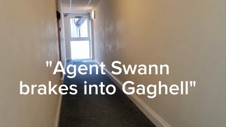 Agent Swann breaks into gaghell