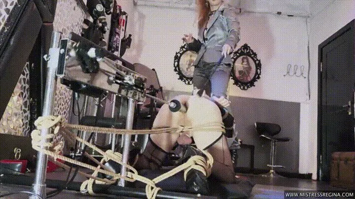 Encouraging Bisex Pt1 Fucking machine preparing you for my Bull - Real Time Session Recording