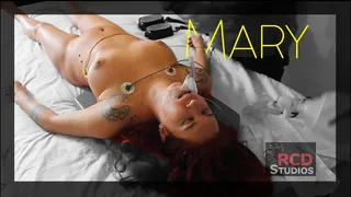 Mary Full Cardiac Arrest (CPR, RESUS, DEFIB, INTUB, AMBU)