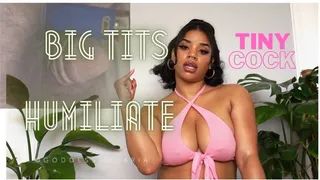 Big Tits Humiliate Your Tiny Cock