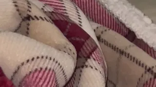 Toes Peeking Out of Blankets