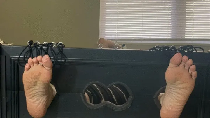 Feet tickled in stocks