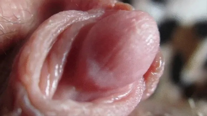 Close-up Big Clit