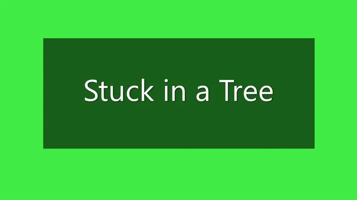 Stuck in a Tree!!