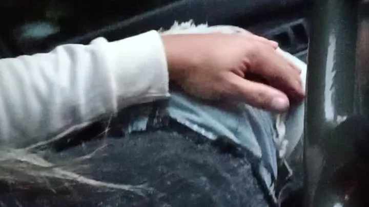 sucking cock in car part 2