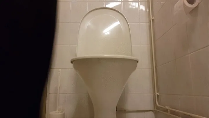 Pull-Ups and Pee in Toilet