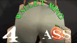 WalletMind 4 Ass