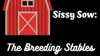 Sissy Sow: The Breeding Stables part 2