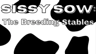 Sissy Sow: The Breeding Stables