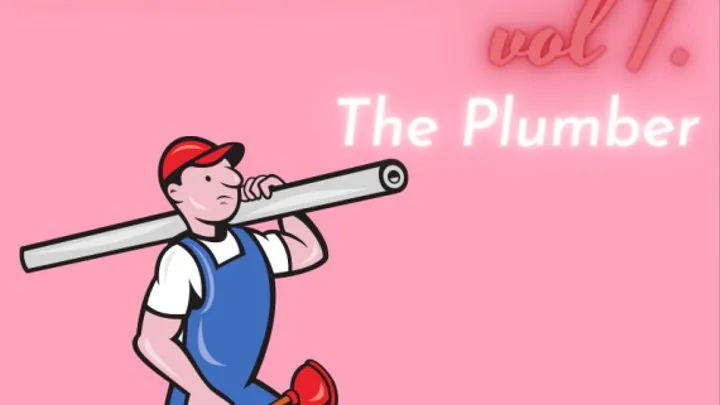 Seduction Stories vol 1: The Plumber