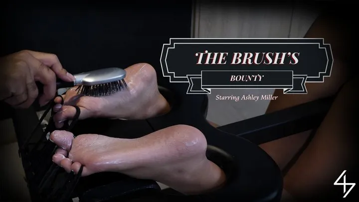 The Brush's Bounty