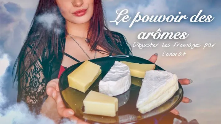 Dégustation de fromages par l'odorat CHEESE SMELLING FRENCH