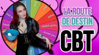 La Roue Du Destin CBT TASKS French Version