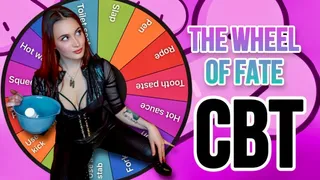 The Wheel Of Fate CBT TASKS