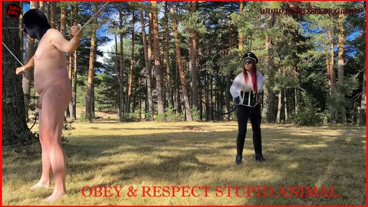 IN OFFER- OBEY & RESPECT PART 1