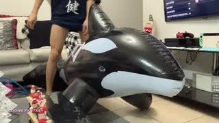 Owllete pops inflatable orca