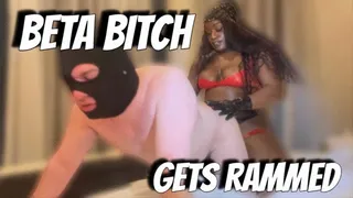 Beta Bitch gets ass rammed