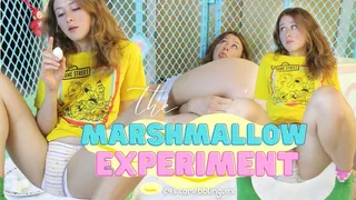 Let's Experiment! || Charlie Tries ABDL Marshmallow Trick || ASMR Pull-Up Pissing, Marshmallow-Assisted Mess, Afterthoughts