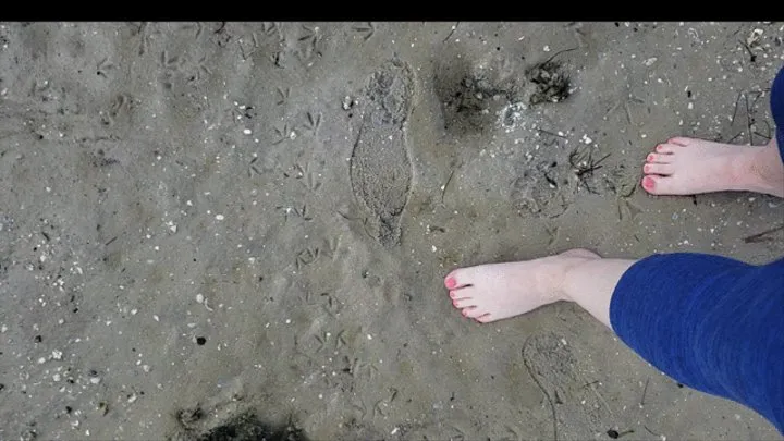 A walk on the beach with wet sand, wet grass and water