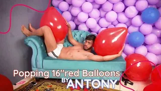 Popping 16" Red Balloons By Antony